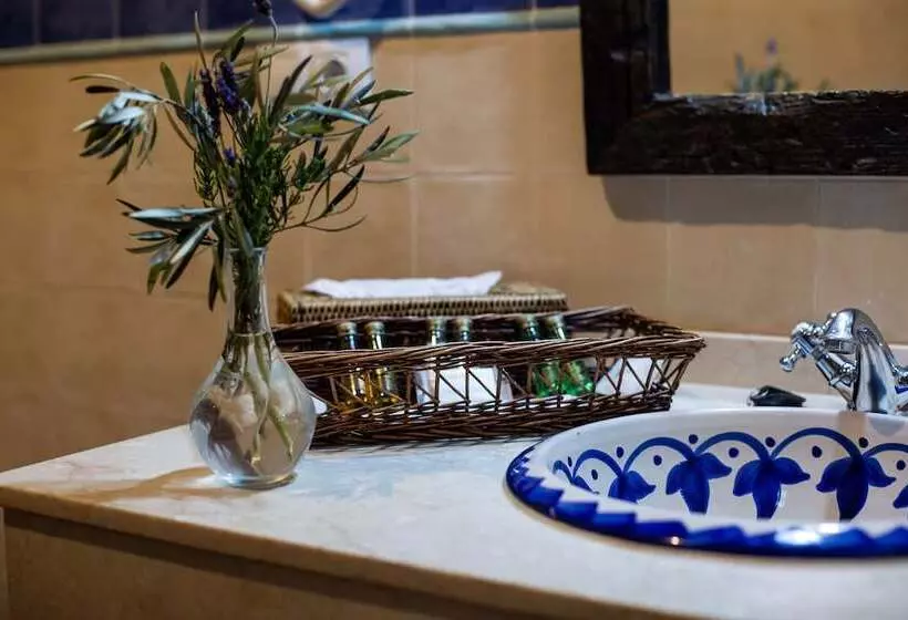 Fotos del hotel Fuente Del Sol:  9