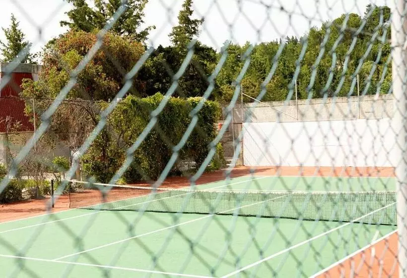 Fotos del hotel Cyprotel Faliraki:  18