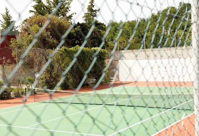 Fotos del hotel Cyprotel Faliraki:  15