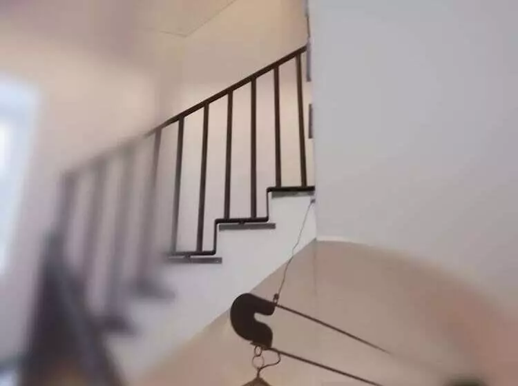 Fotos del hotel Airone:  24