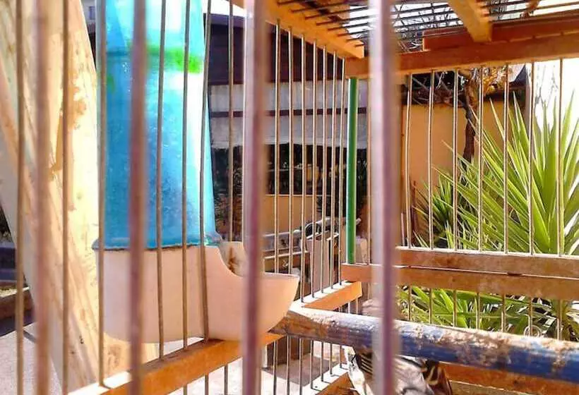 Fotos del hotel Green Park:  3