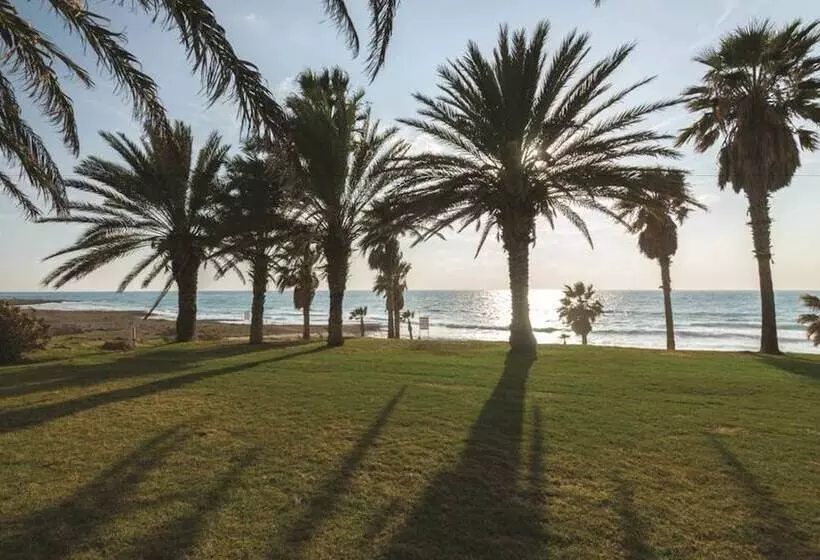 Fotos del hotel Venus Beach:  19