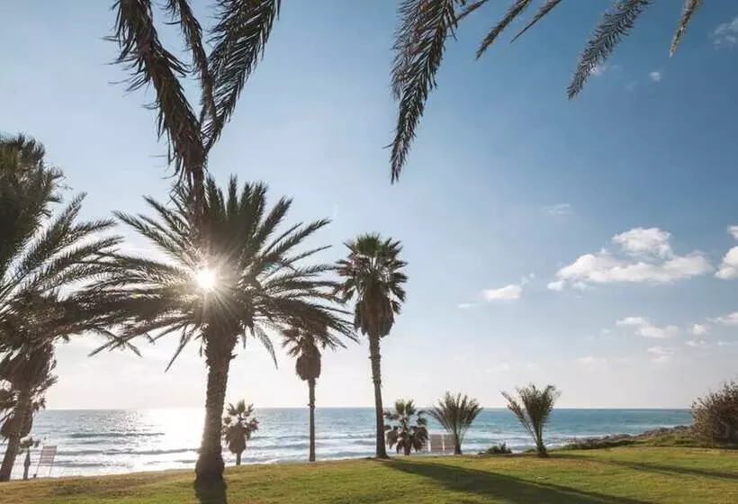 Fotos del hotel Venus Beach:  16