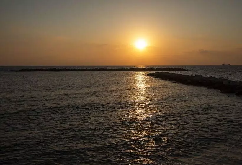 Fotos del hotel Venus Beach:  18