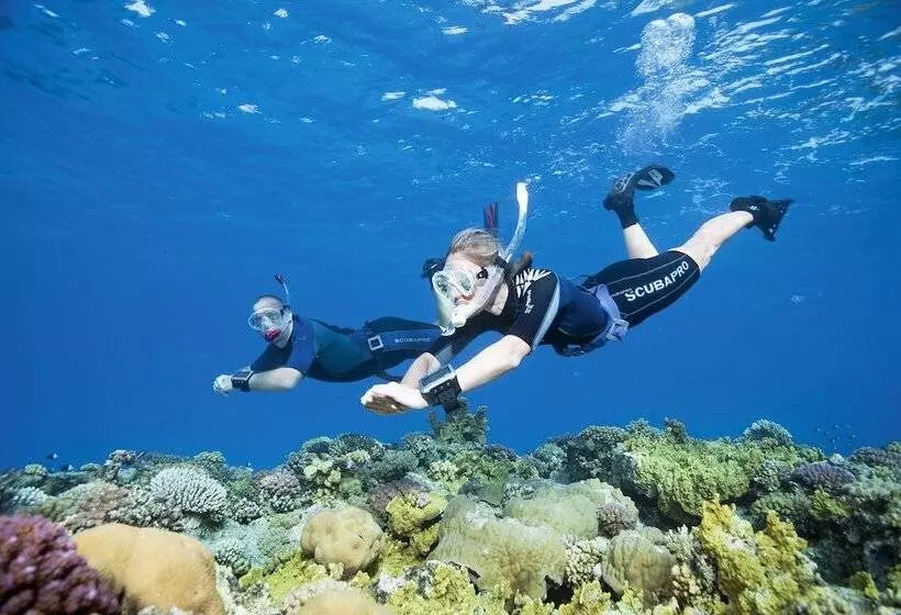 Fotos del hotel Ali Pasha:  5