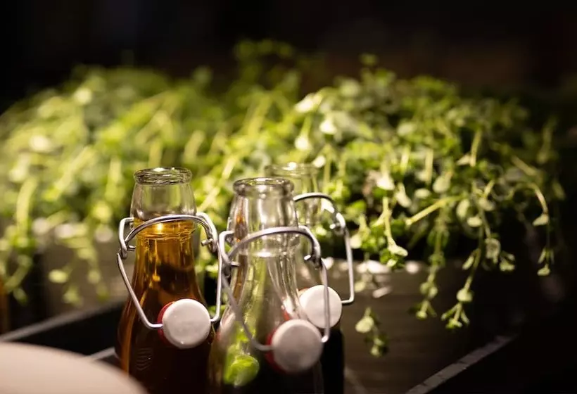 Fotos del hotel Bristol Hotel Frankfurt:  22