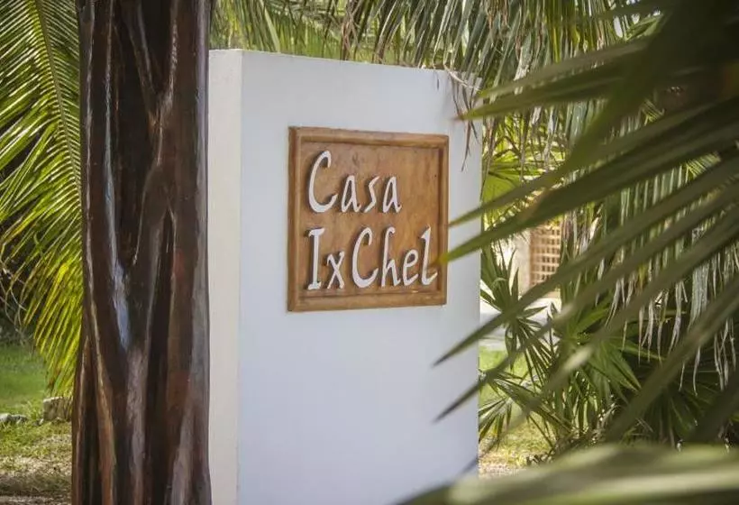 Fotos del hotel Casa Ixchel:  3