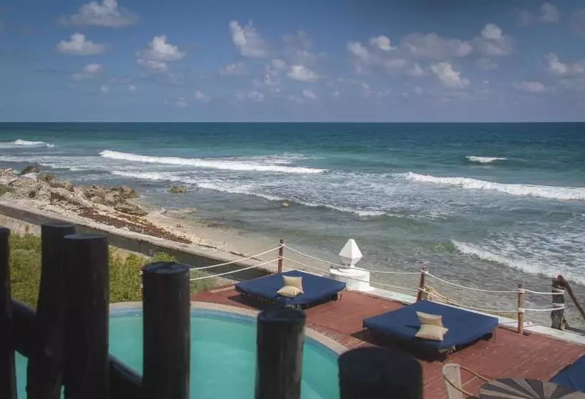 Fotos del hotel Casa Ixchel:  7