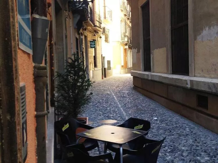 Fotos del hotel Casa Palacio Pilar Del Toro:  8