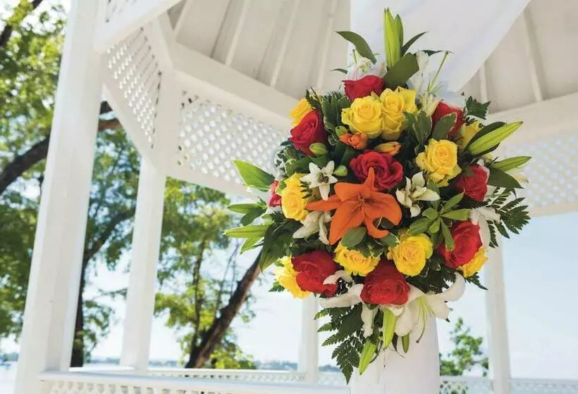 Fotos del hotel Riu Negril - All Inclusive:  12