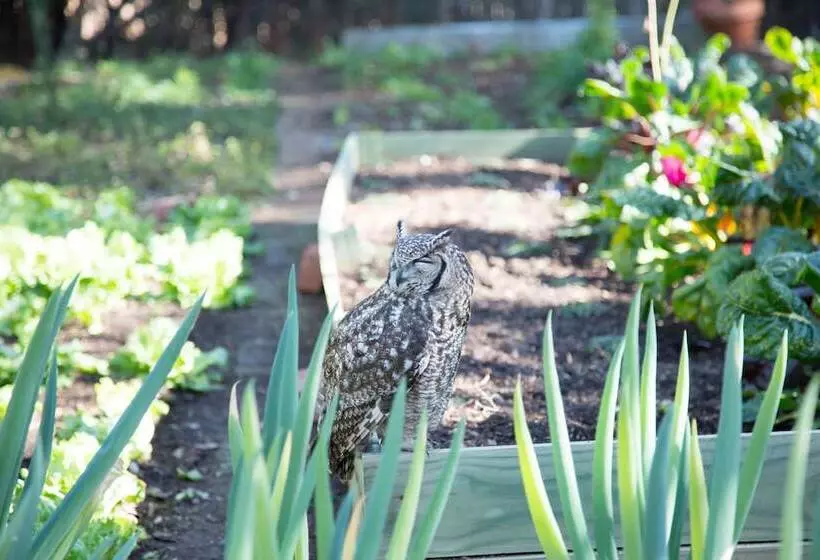 Fotos del hotel Ten Bompas:  6