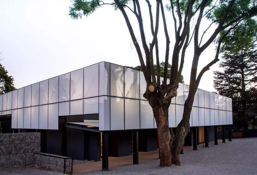 Fotos del hotel Ten Bompas:  11