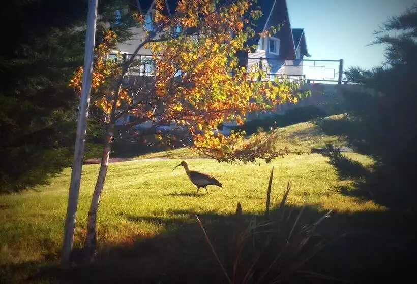 Fotos del hotel Alto Calafate:  10