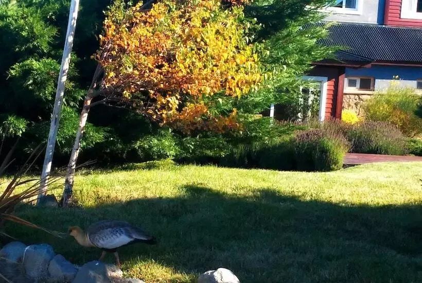 Fotos del hotel Alto Calafate:  12