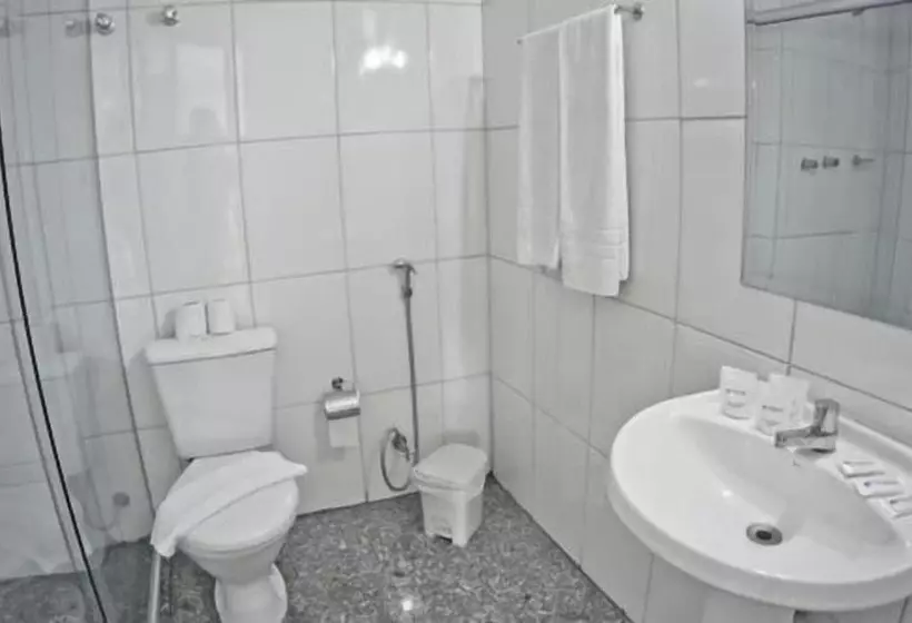 Fotos del hotel Dan Inn São Paulo Higienópolis:  11