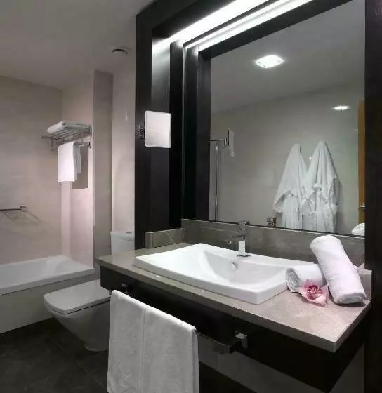 Fotos del hotel Macià Real De La Alhambra:  7