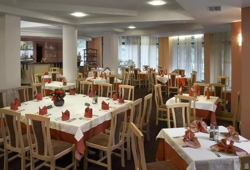 Fotos del hotel Hotel Orphey:  7