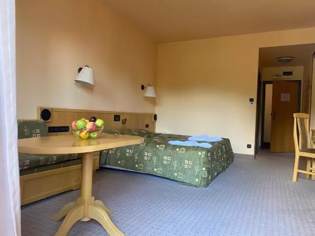 Fotos del hotel Hotel Orphey:  22