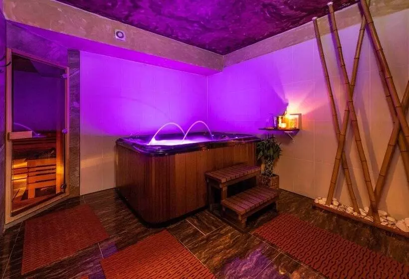 Fotos del hotel Premium Business  Bratislava:  12