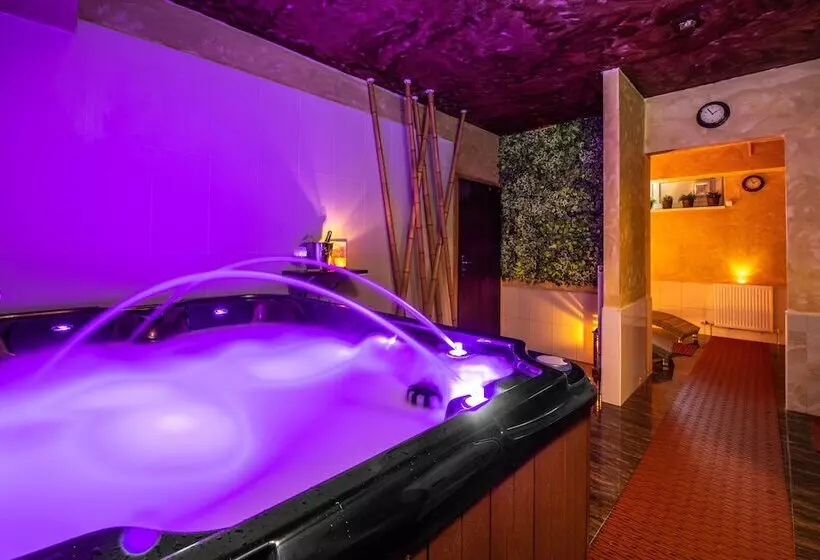 Fotos del hotel Premium Business  Bratislava:  9