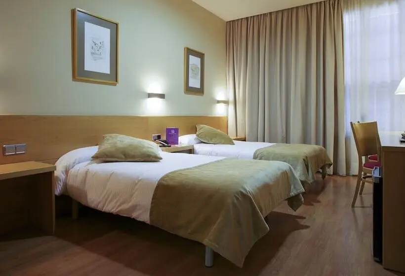 Fotos del hotel Victoria 4 Puerta Del Sol:  39