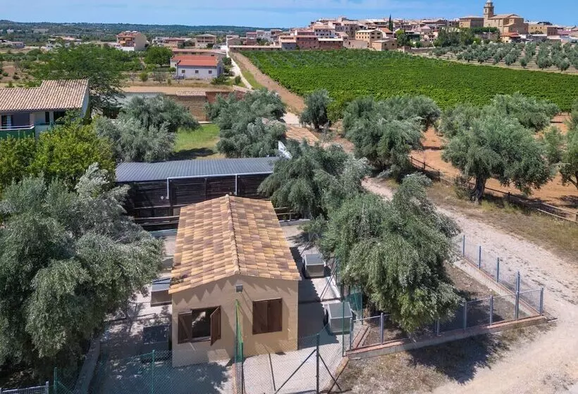 Fotos del hotel Vilar Rural De Arnes:  8