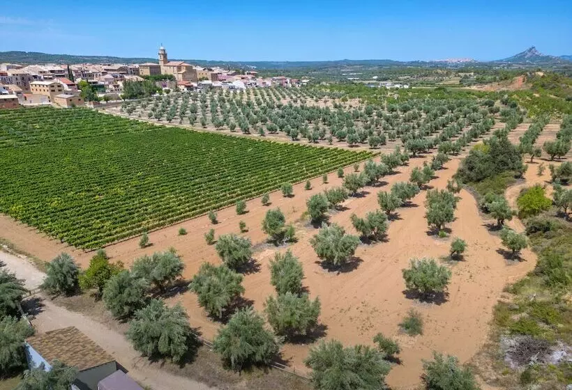 Fotos del hotel Vilar Rural De Arnes:  19