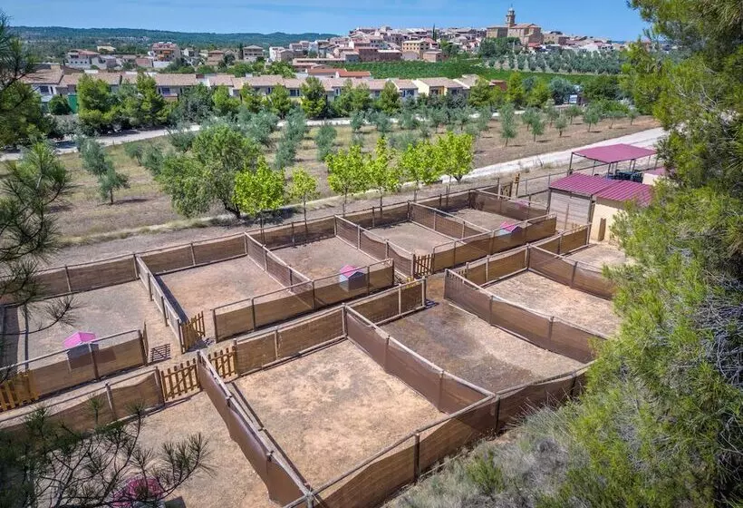 Fotos del hotel Vilar Rural De Arnes:  20