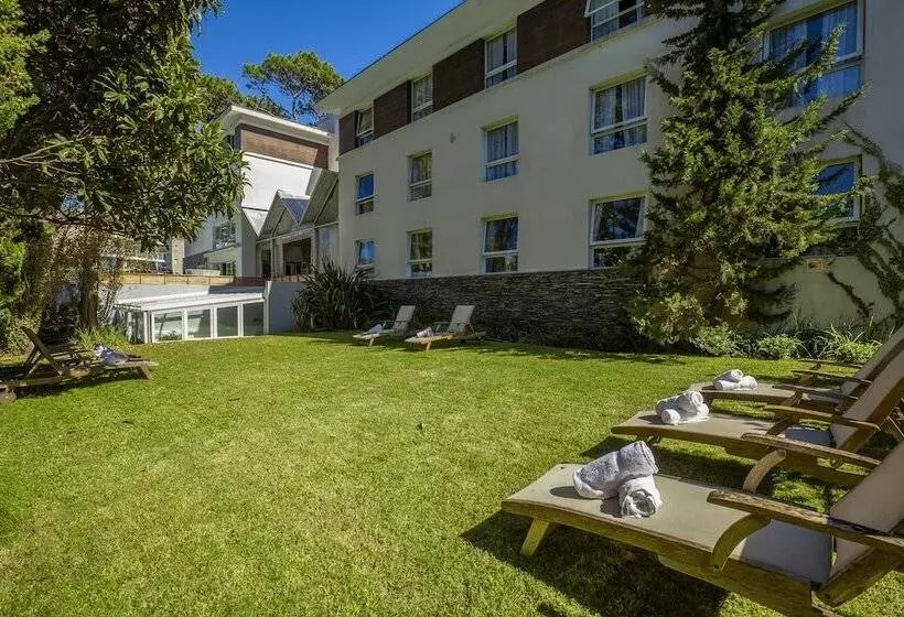 Fotos del hotel Awa Boutique + Design:  20