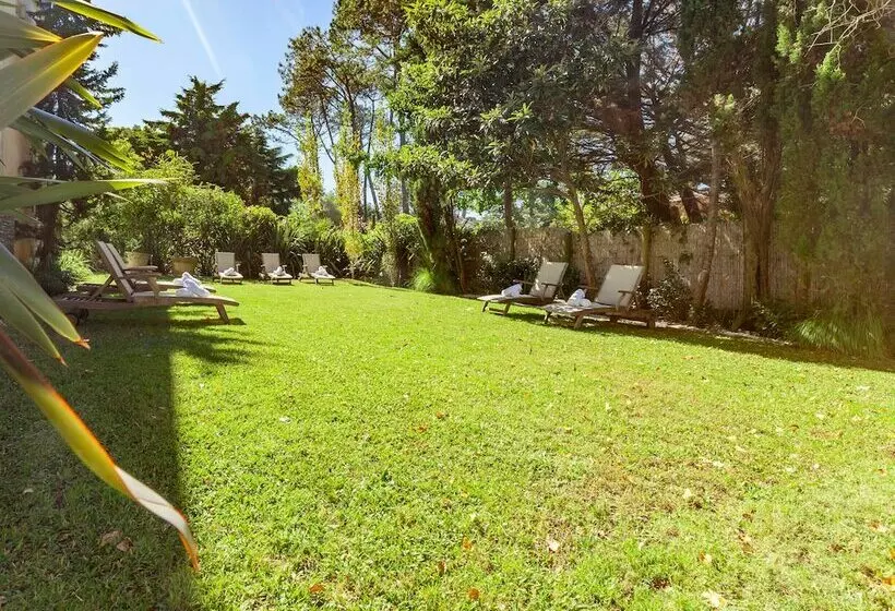 Fotos del hotel Awa Boutique + Design:  12