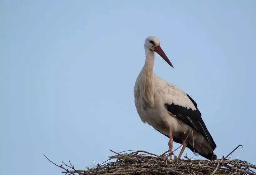 Fotos del hotel Riad Maison Araboandalouse:  6