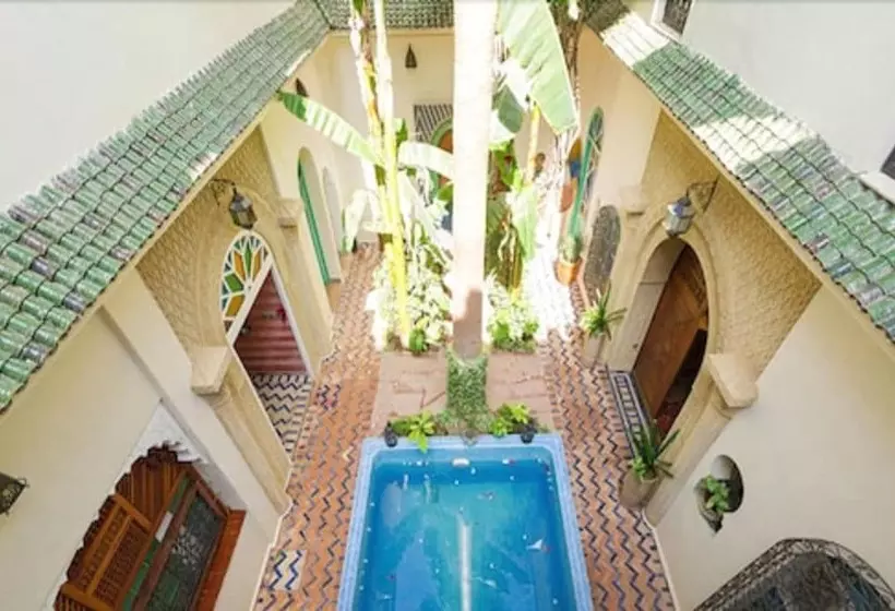 Riad Maison Araboandalouse