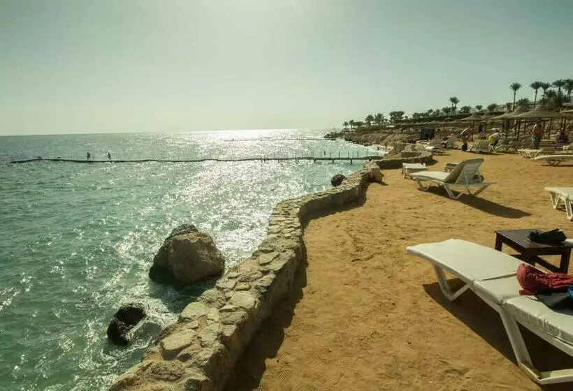 Fotos del hotel Sharming Inn S:  8