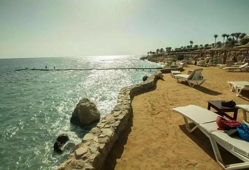 Fotos del hotel Sharming Inn S:  15