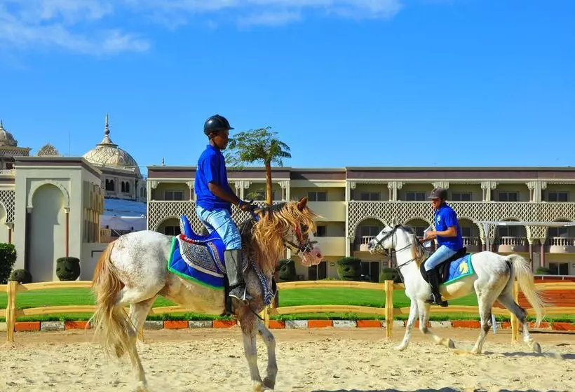 Fotos del hotel Sunrise Garden Beach Resort:  33