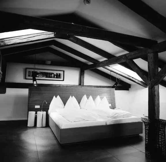 Fotos del hotel Art Blaue Gans:  13