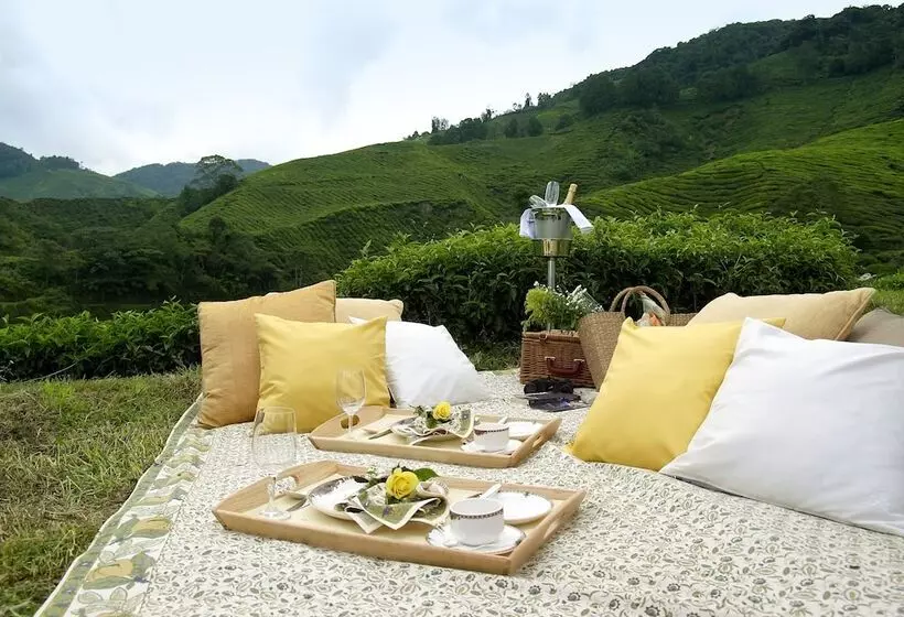 Fotos del hotel Cameron Highlands Resort:  13