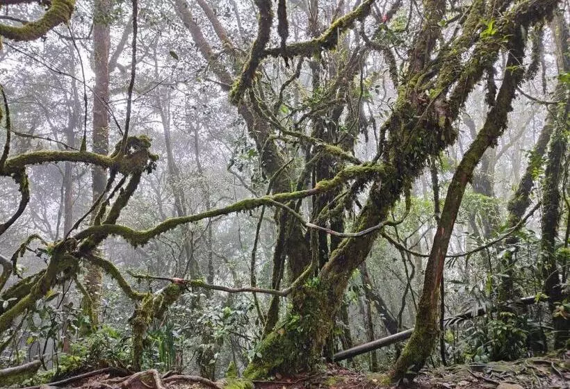 Fotos del hotel Cameron Highlands Resort:  19