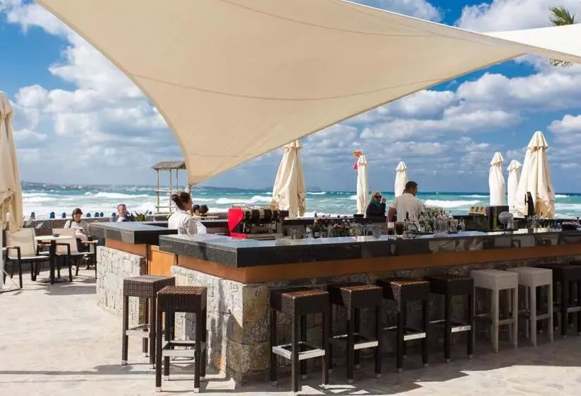 Fotos del hotel Dessole Malia Beach - All Inclusive:  6