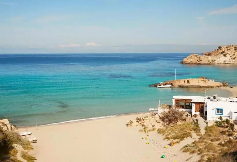 Fotos del hotel Insotel Club Tarida Playa  All Inclusive:  22