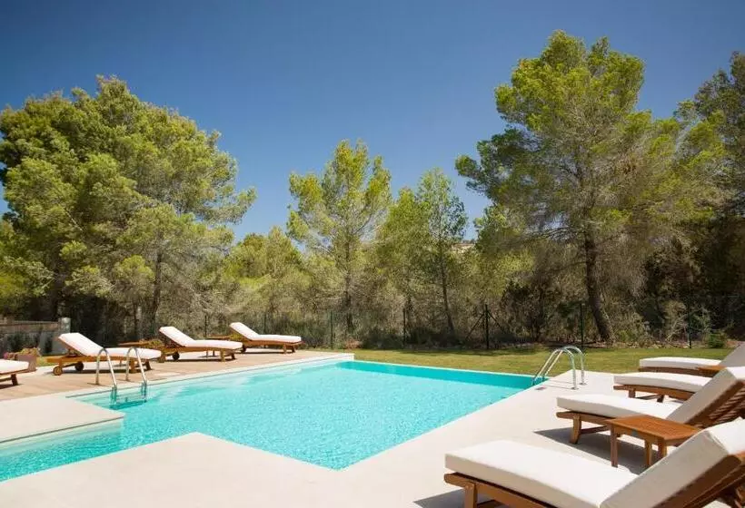 Fotos del hotel Insotel Club Tarida Playa  All Inclusive:  1