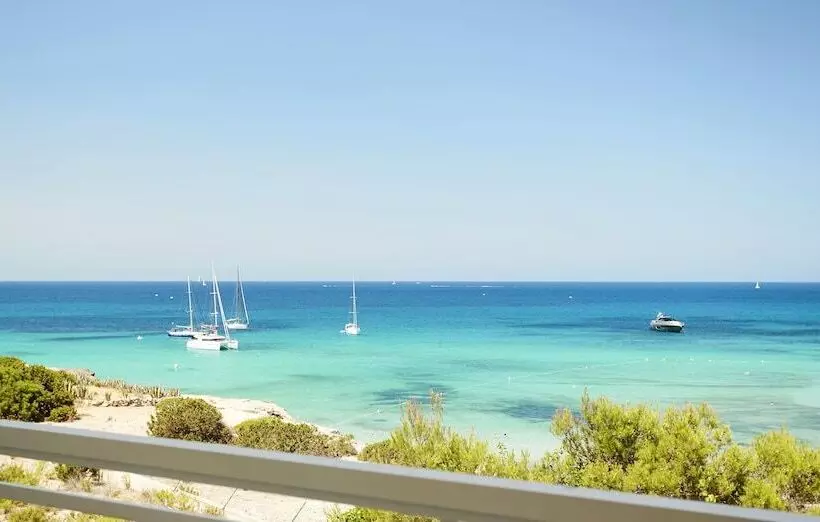 Fotos del hotel Insotel Club Tarida Playa  All Inclusive:  15