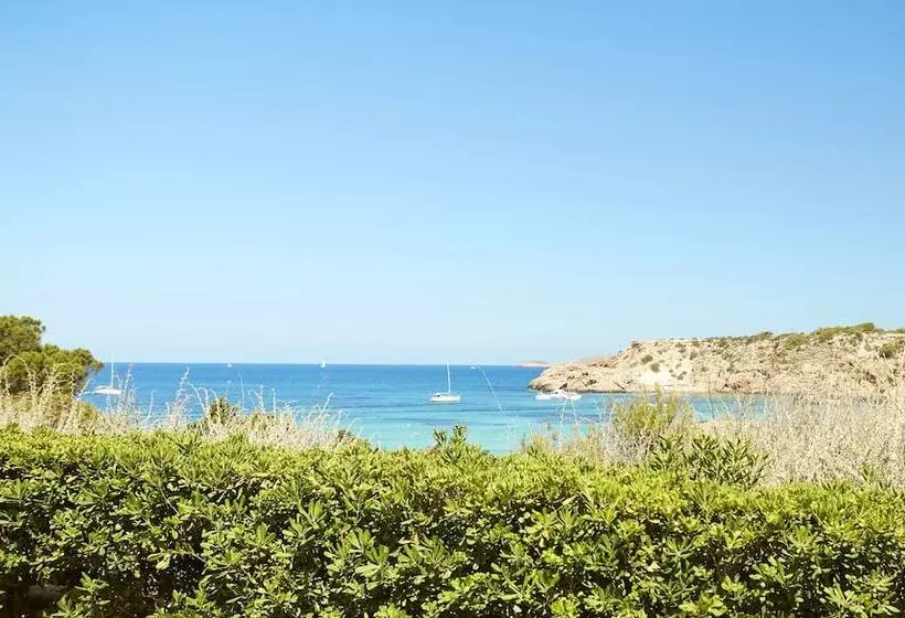 Fotos del hotel Insotel Club Tarida Playa  All Inclusive:  19