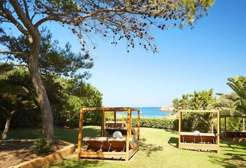 Fotos del hotel Insotel Club Tarida Playa  All Inclusive:  25