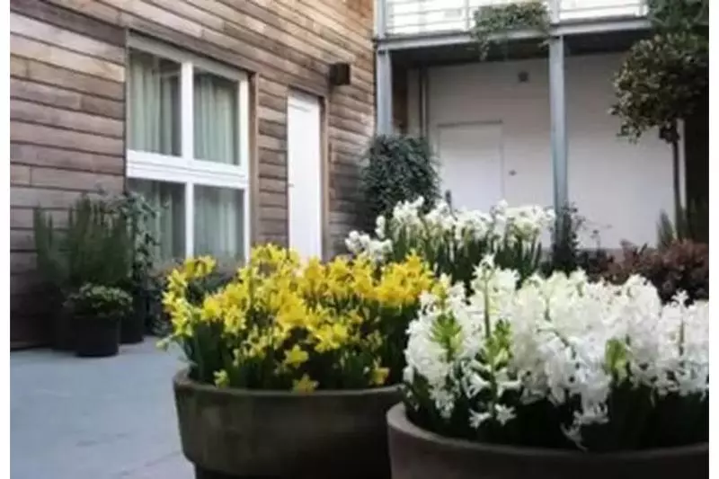 Fotos del hotel De Flandre:  7