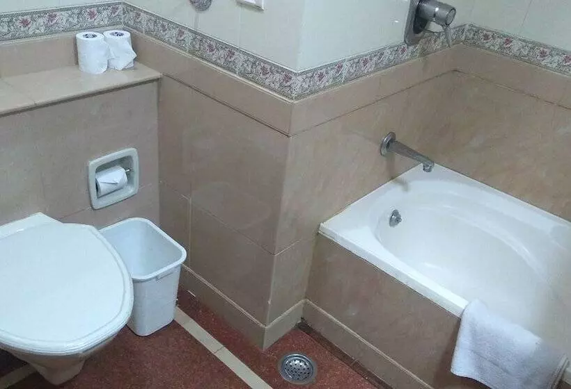 Fotos del hotel Abad Atrium:  14