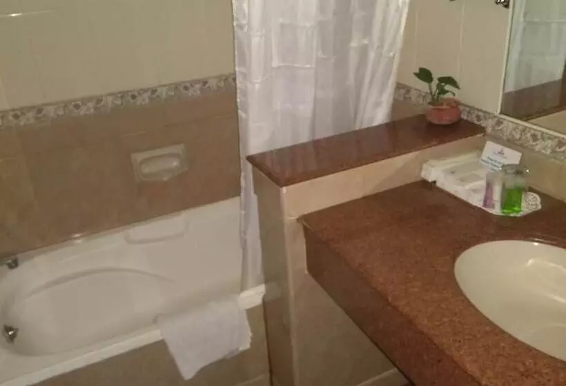 Fotos del hotel Abad Atrium:  8