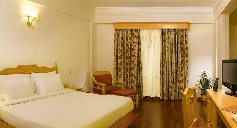 Fotos del hotel Abad Atrium:  22