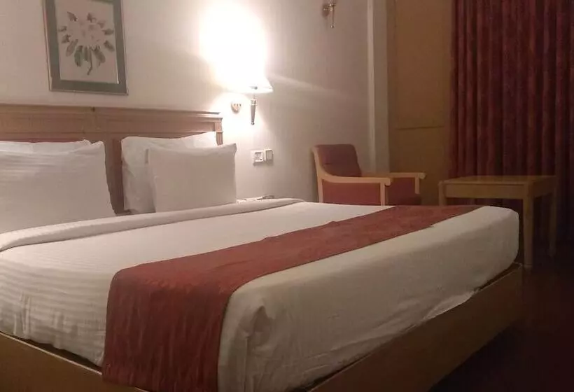 Fotos del hotel Abad Atrium:  20