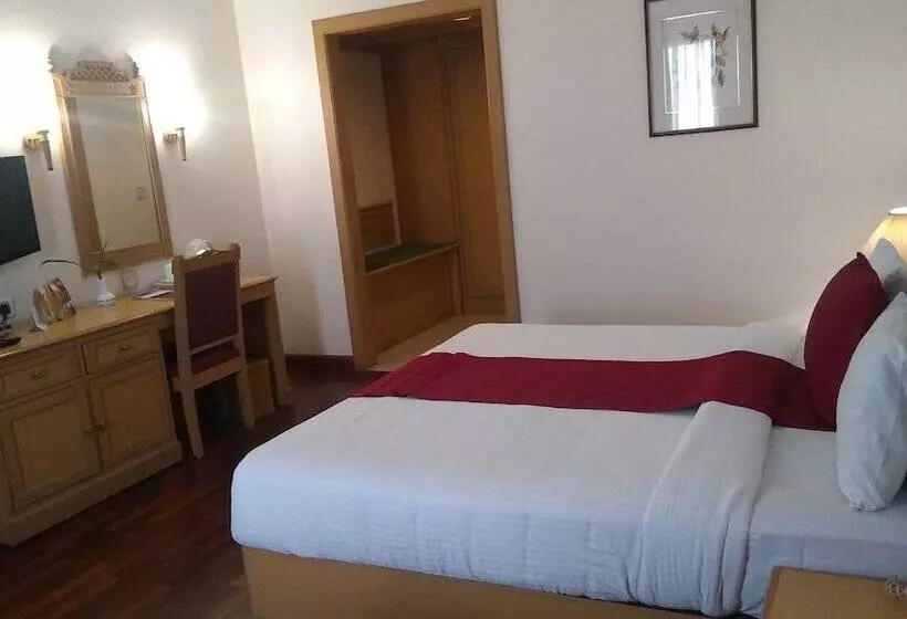 Fotos del hotel Abad Atrium:  23